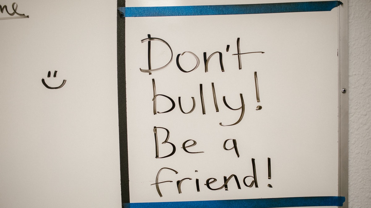 Bullying Curriculum