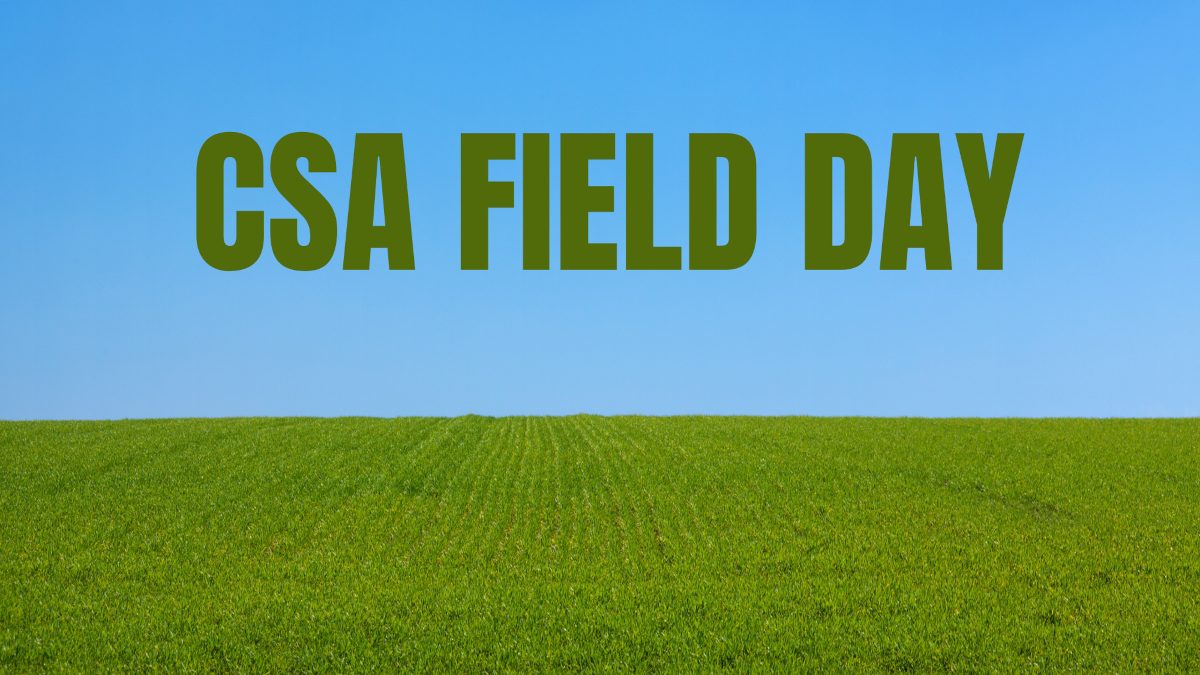 image of empty field with green grass and blue sky and the the text "CSA Field Day" written in the sky